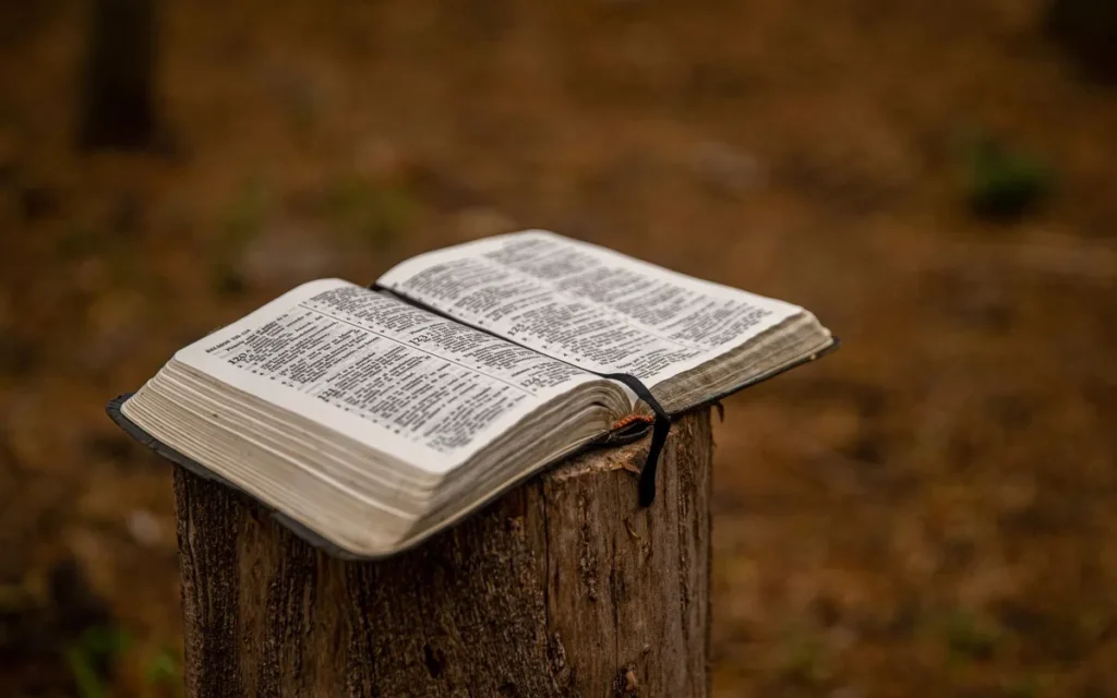 Jak czytać Biblię metodycznie - lectio divina w czterech krokach?